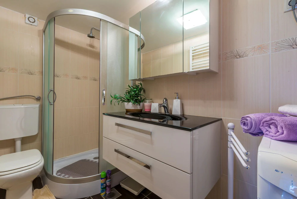 Apartment Roky