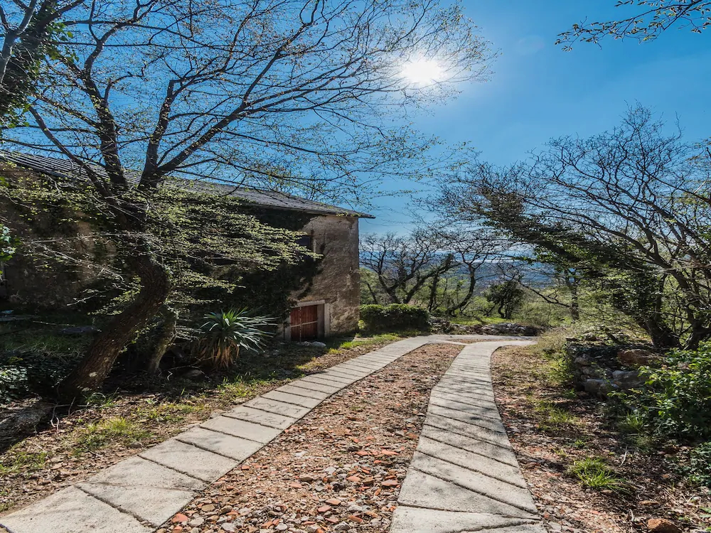 House Villa Siesta