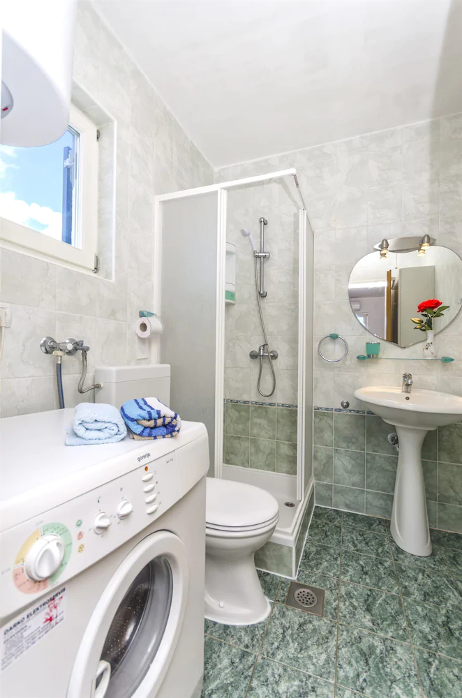 Apartment Branka
