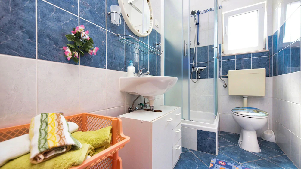 Apartments Branka