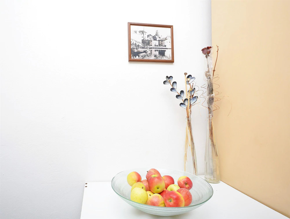 Apartments Branko