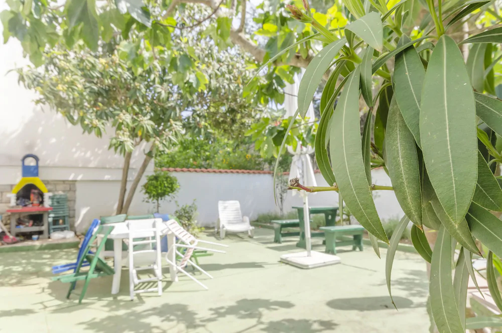 Apartments Frane