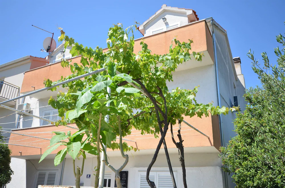 Apartments Ive