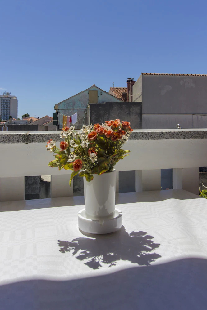 Apartments Konta