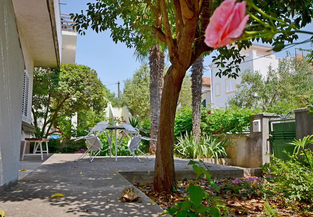 Apartments Miroslava