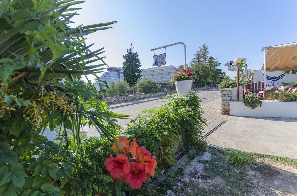 Apartments Vanja Vodice