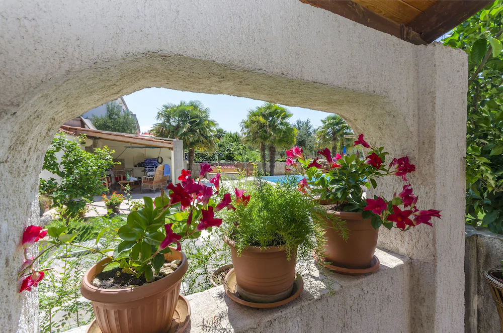 Apartments Vesna