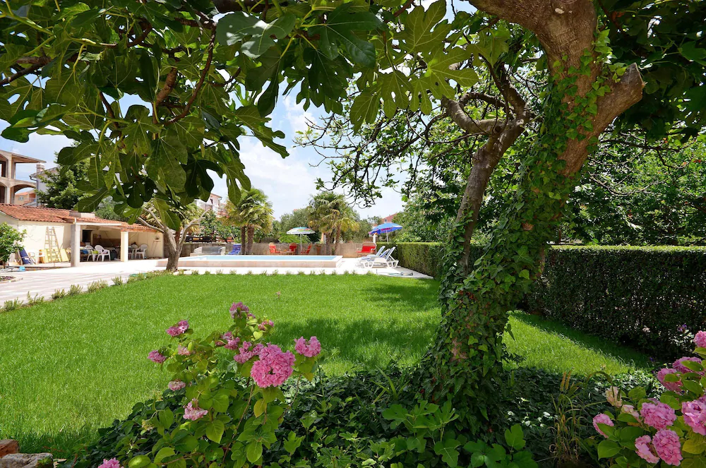 Apartments Vesna