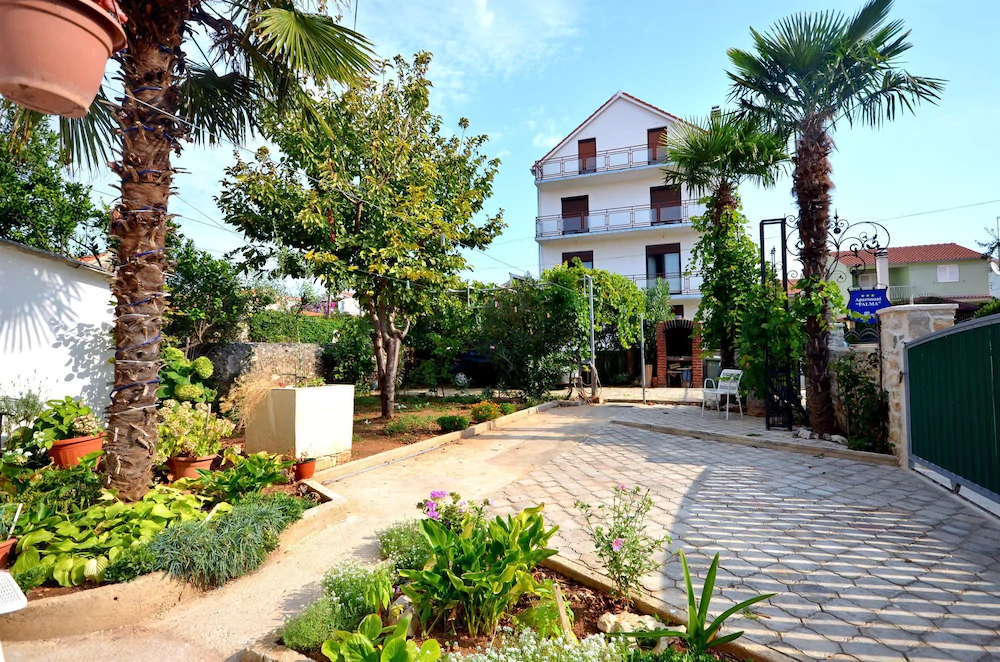 Apartments Vladimir