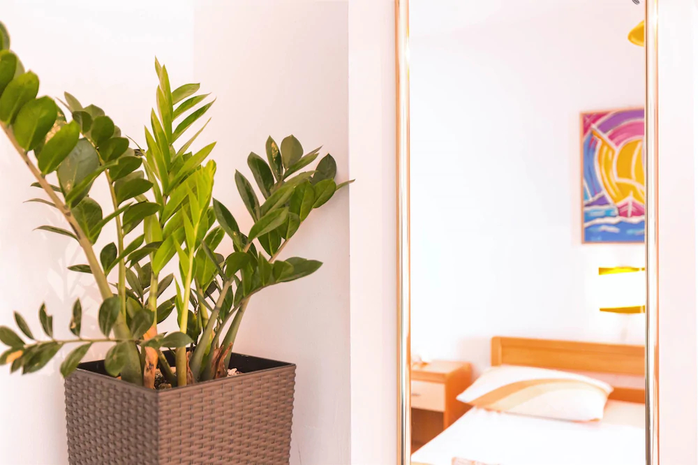 Apartments Zanze