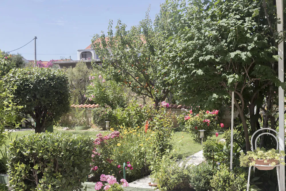 Apartments Zanze