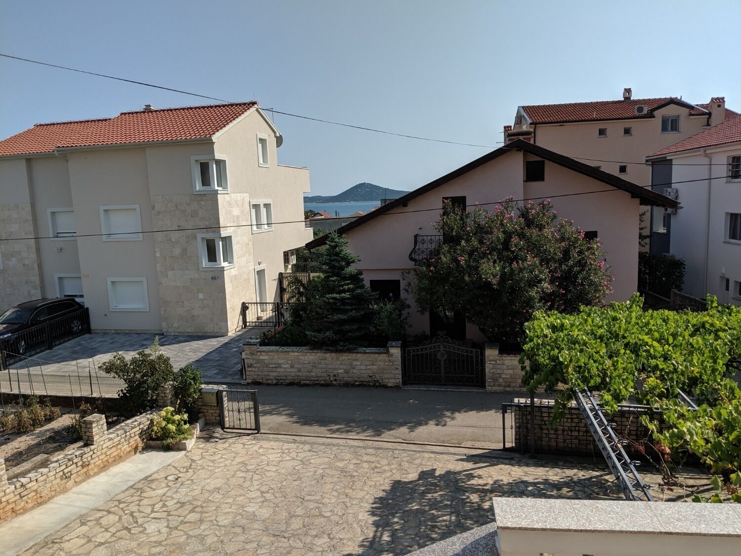 Jak