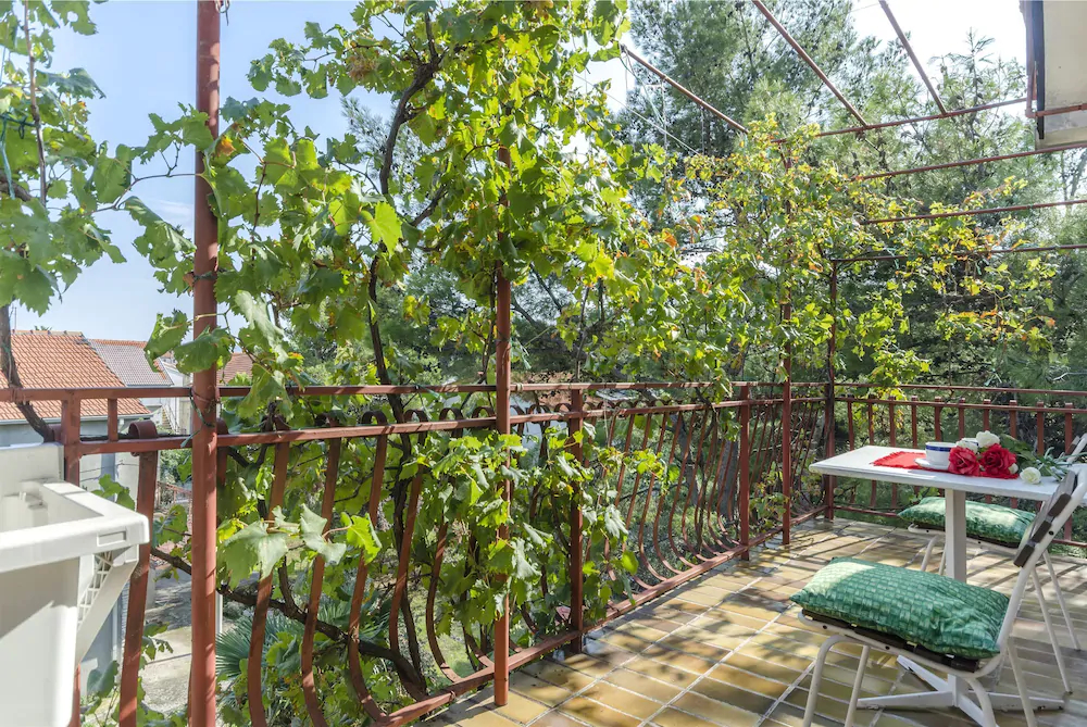 Rooms Summer Tree