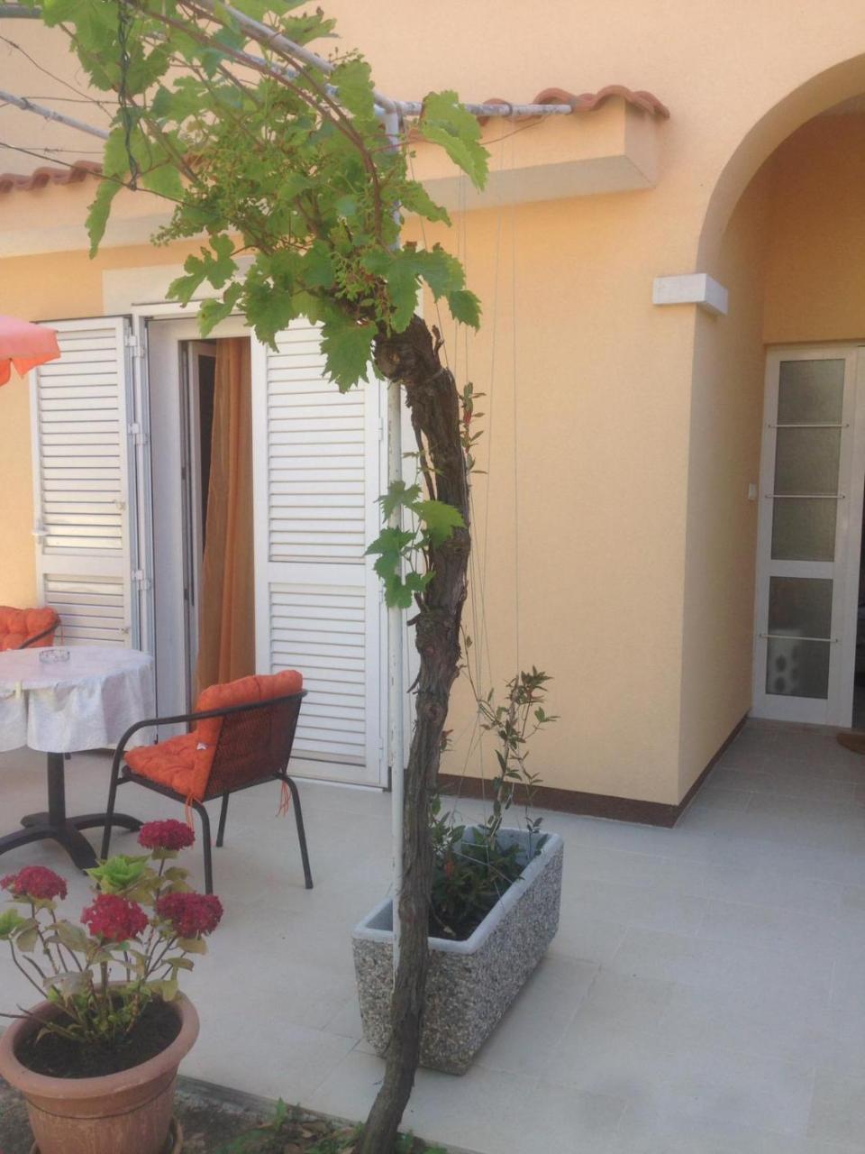 Apartments Pedisic