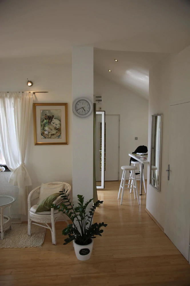 Apartments Ana