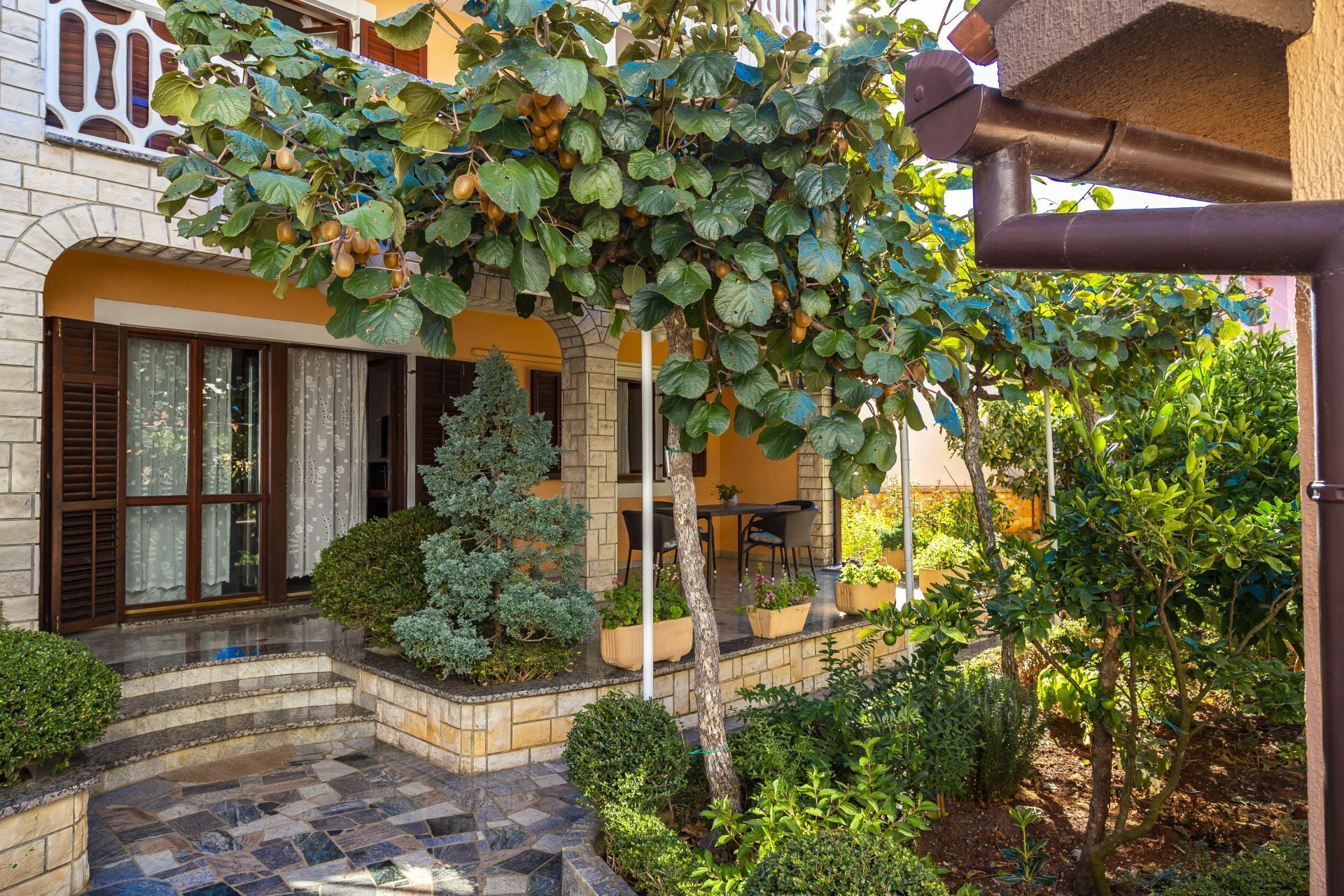 Apartments Mir