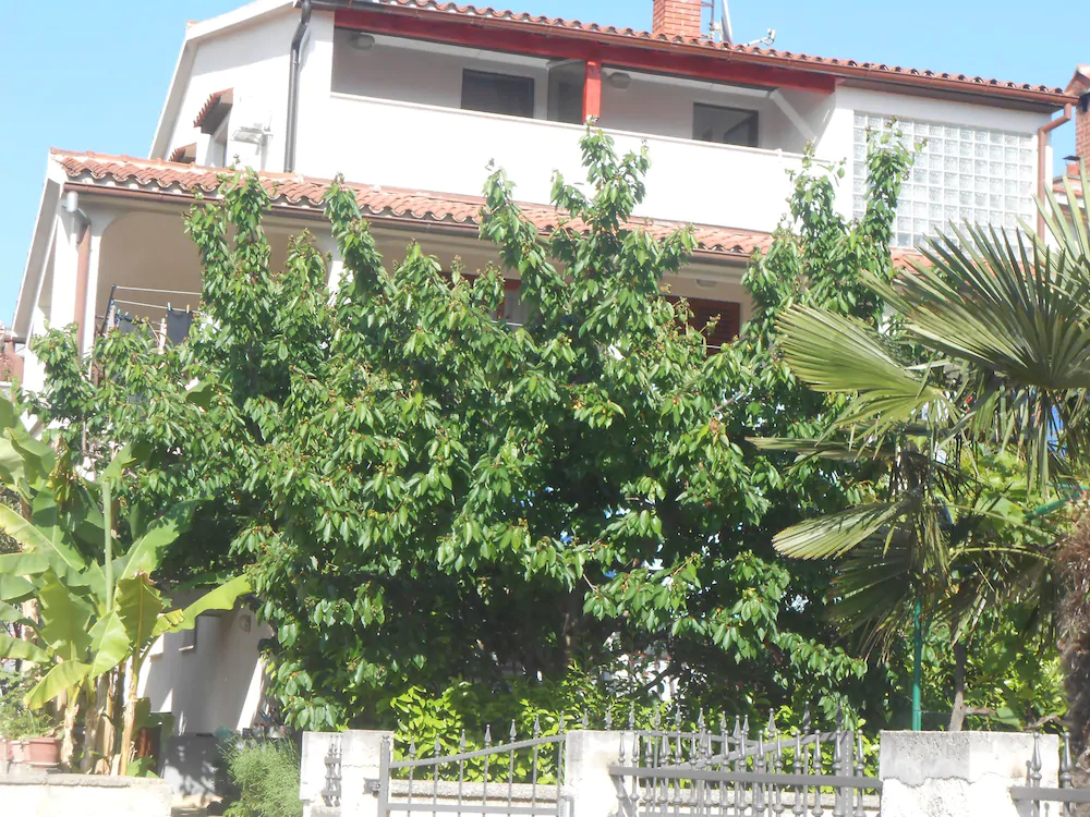 Apartments Snjezana