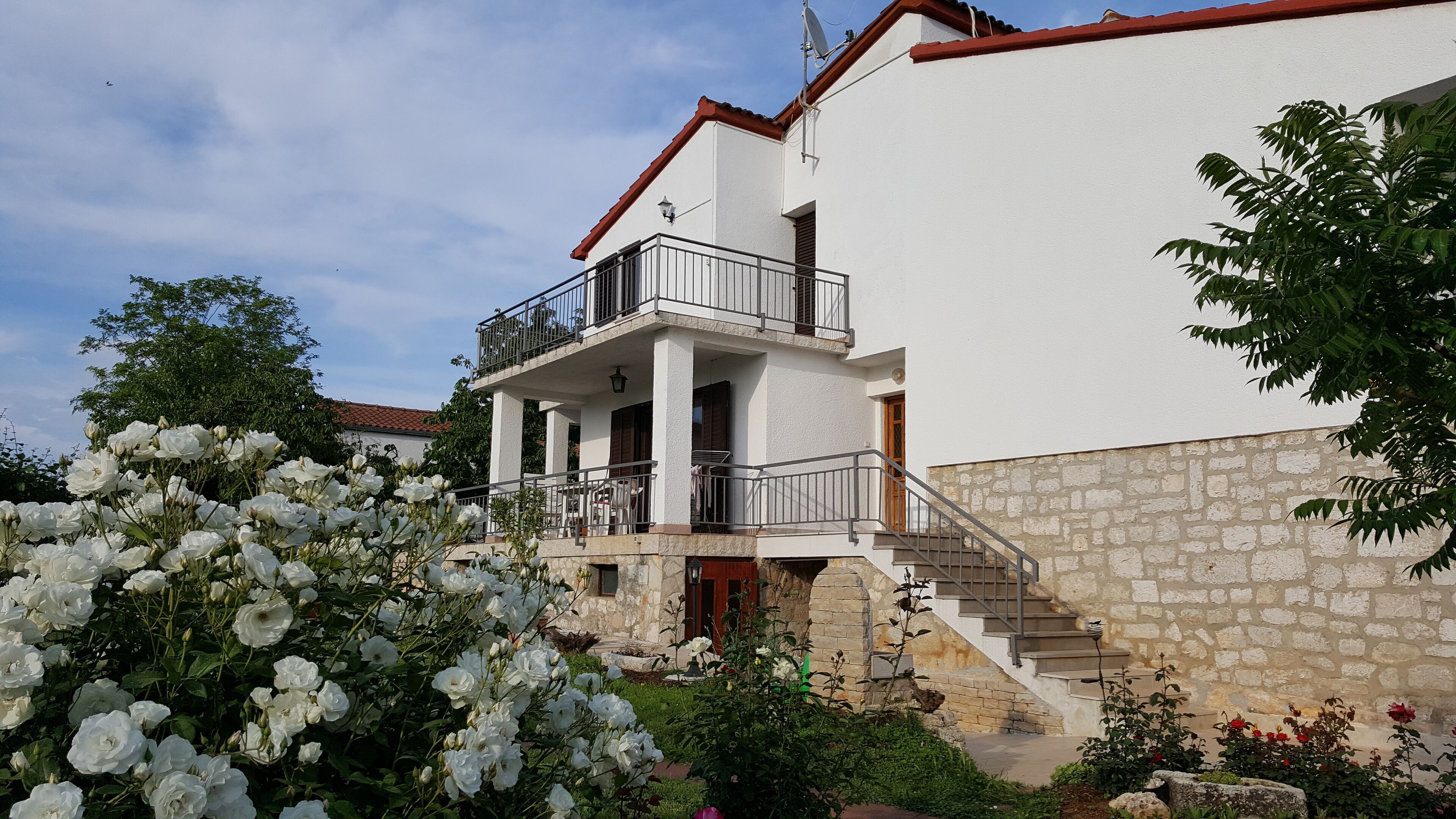House Bozac
