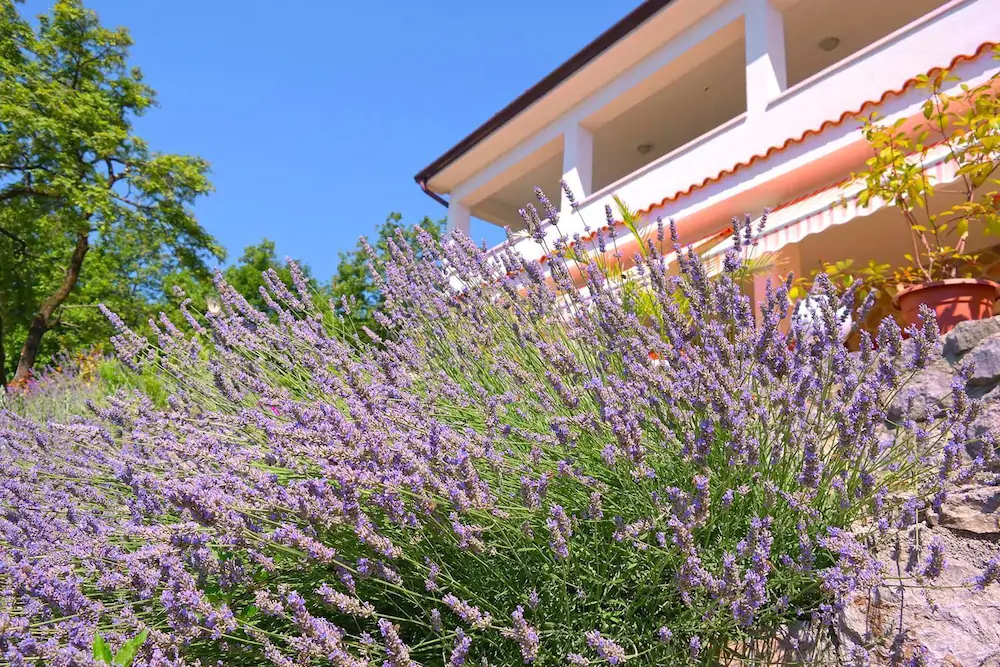 Villa Harmonia