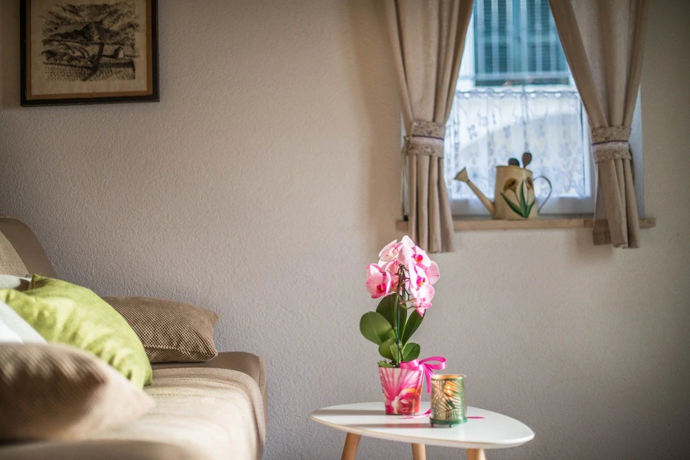 Holiday Home Ana Bubani