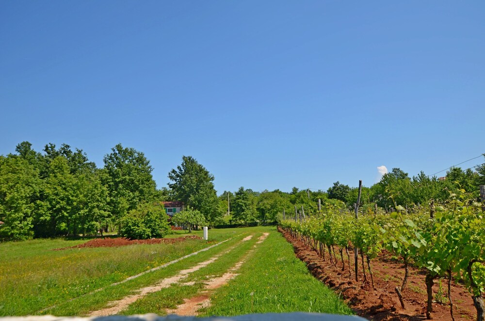 Villa Andigona