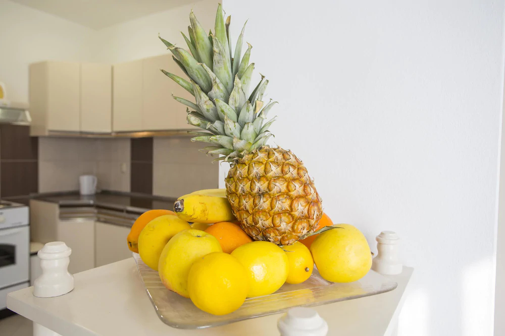 Holiday House Leonida