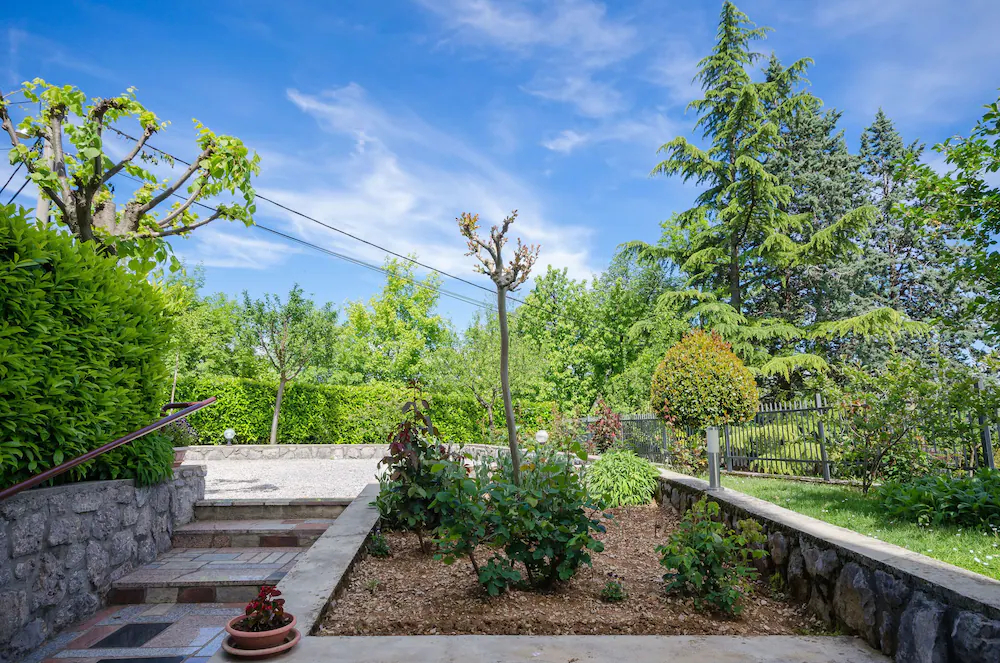 Apartments Sime