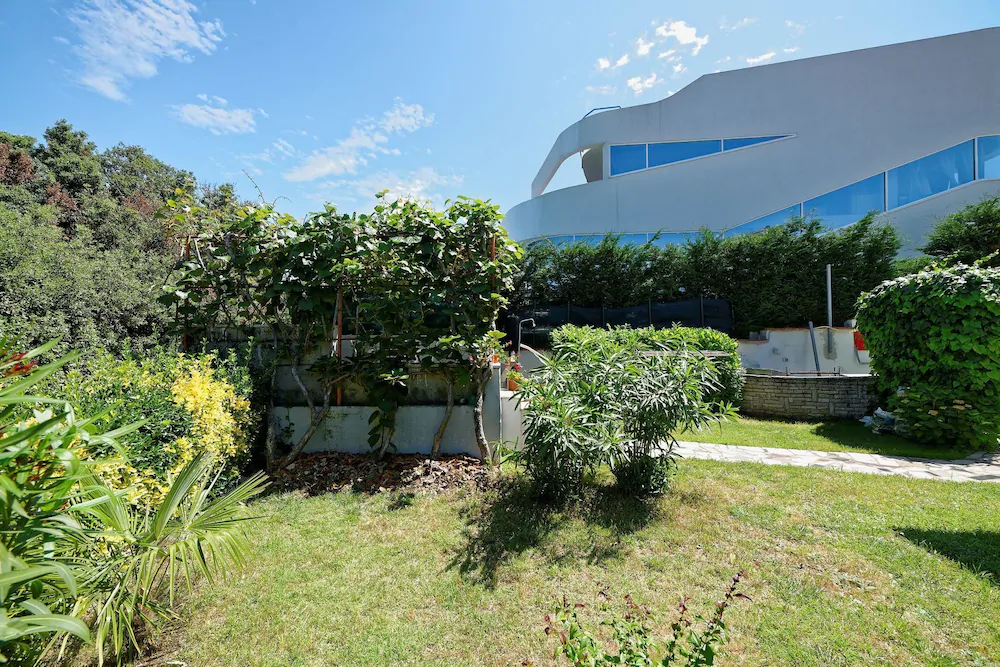 Apartments Andrea