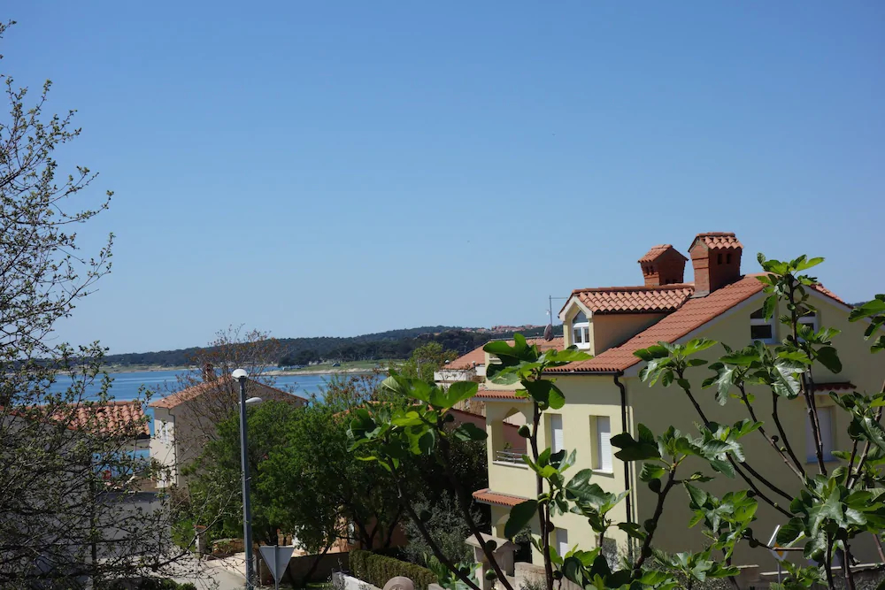 Apartment Zoran Posesi