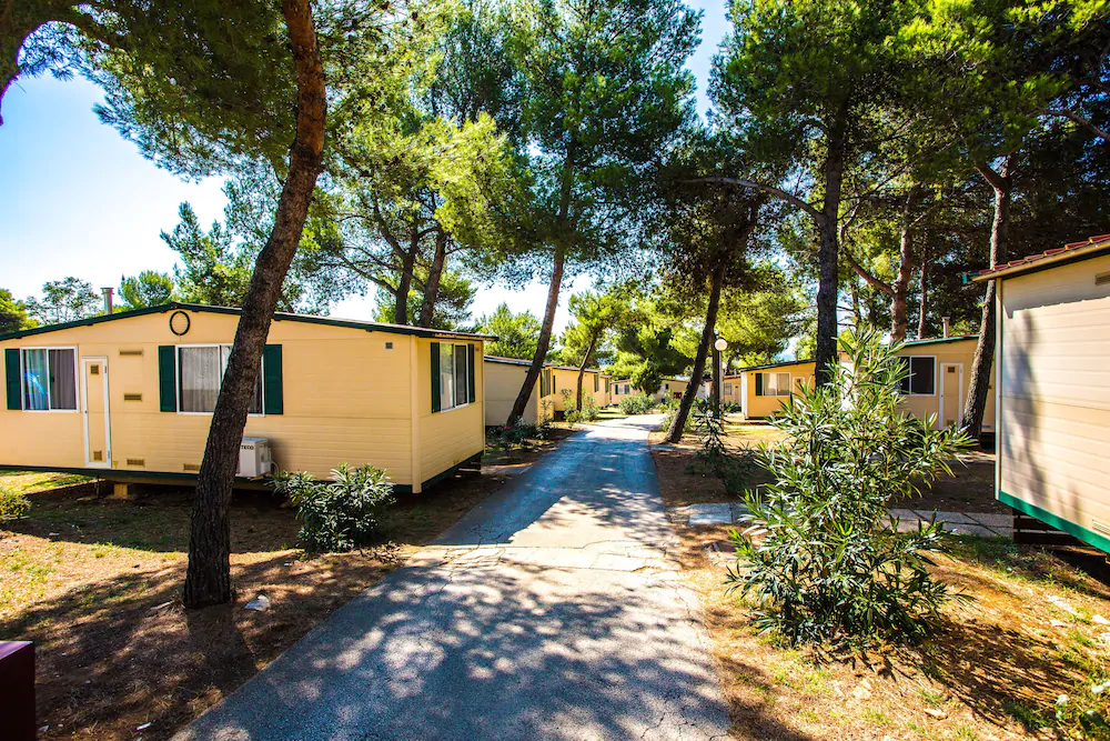 Arena Indije Camping Homes