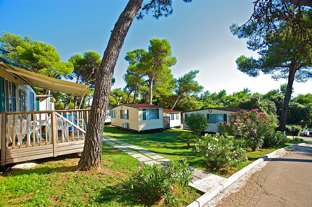 Arena Indije Camping Homes