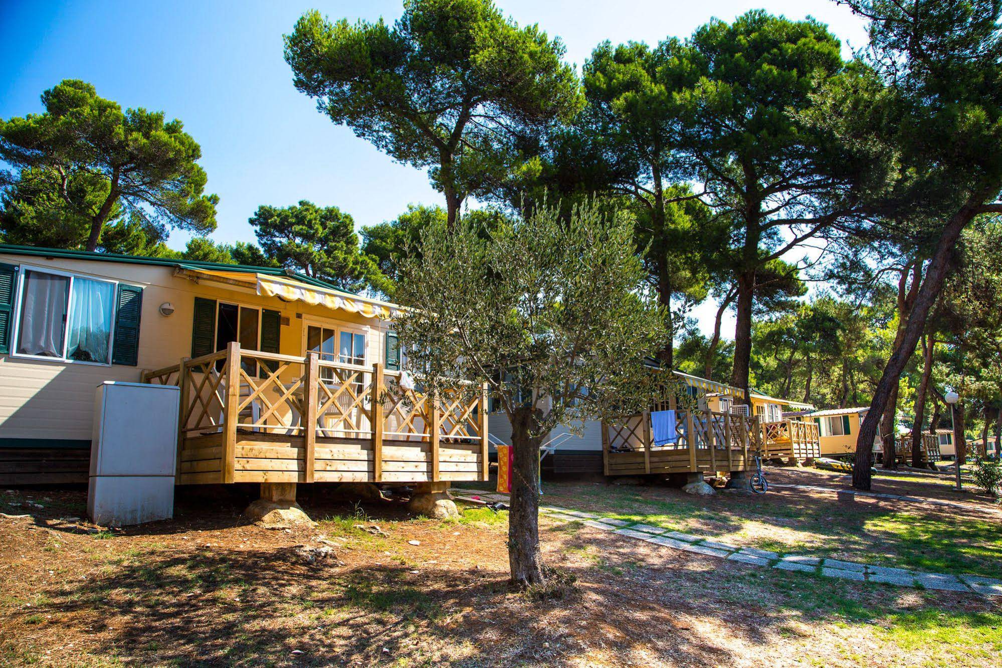Arena Indije Campsite