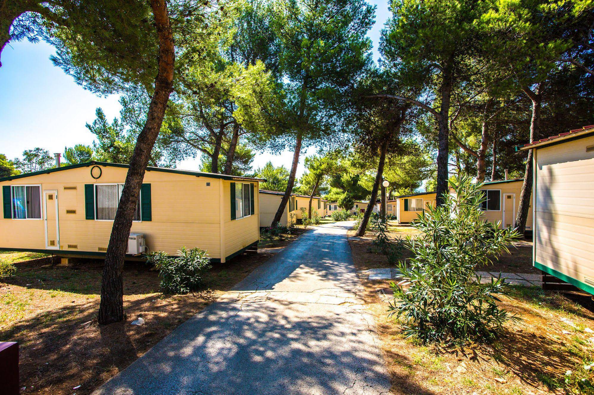 Arena Indije Campsite