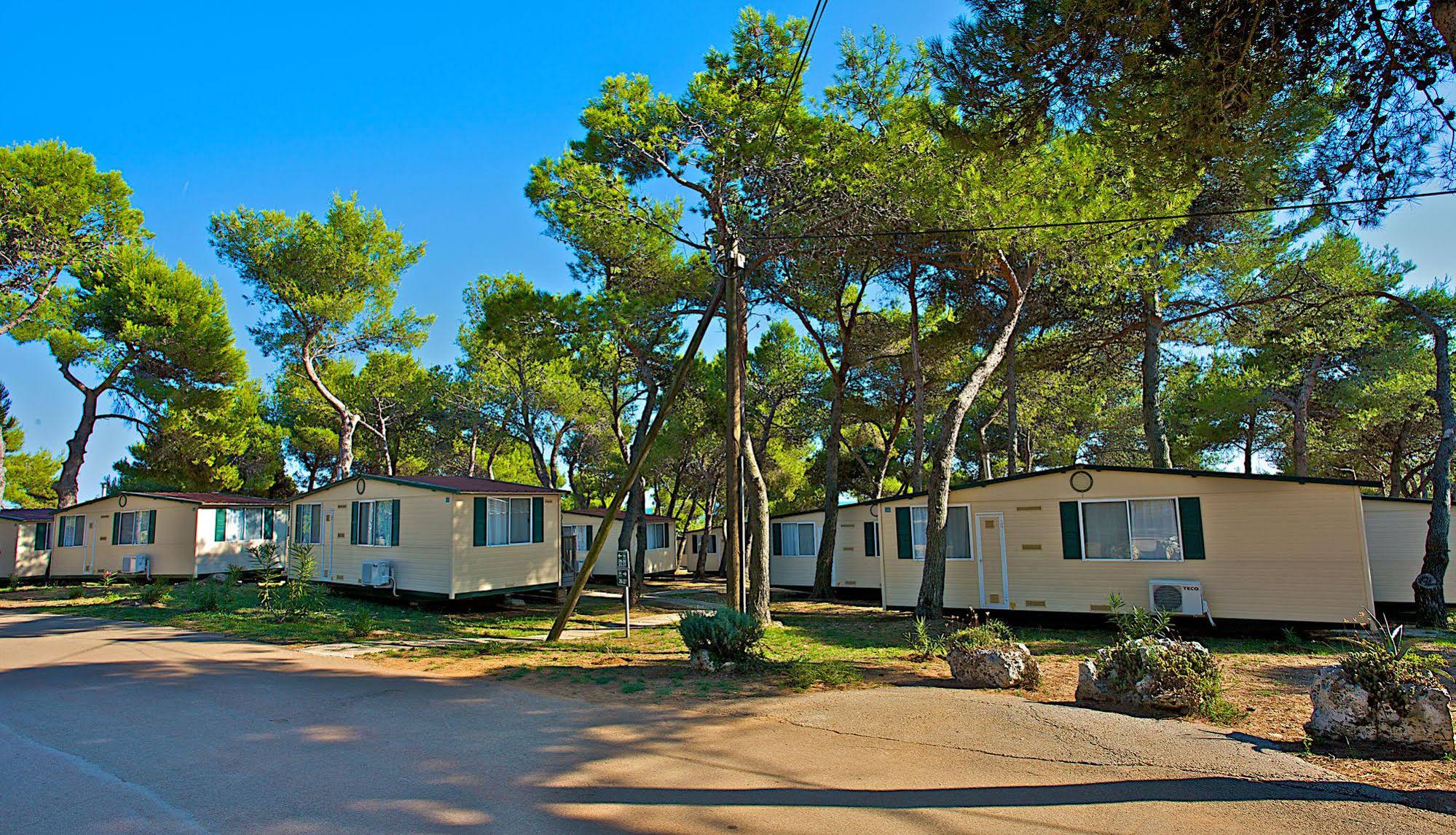 Arena Indije Campsite