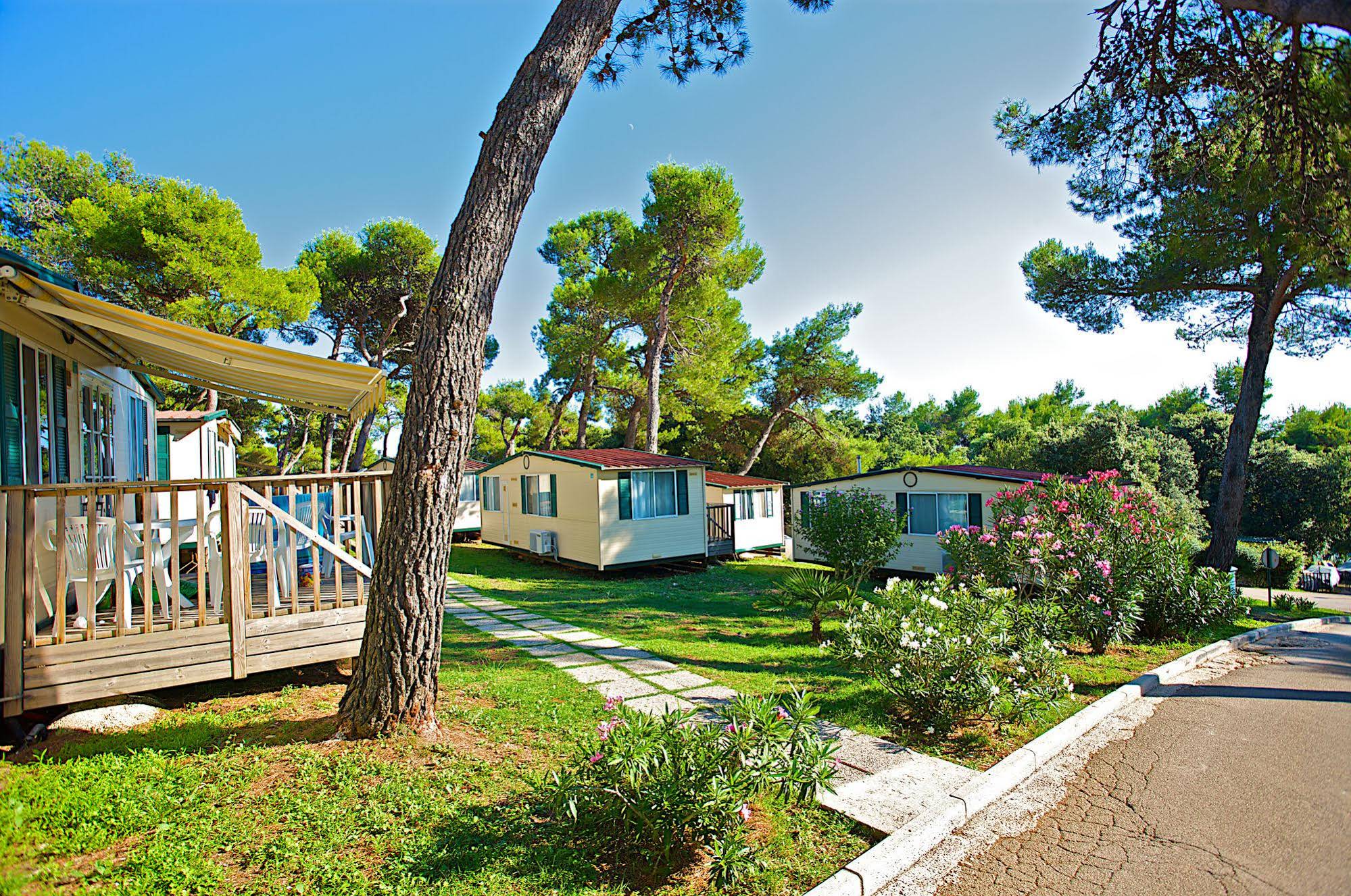 Arena Indije Campsite