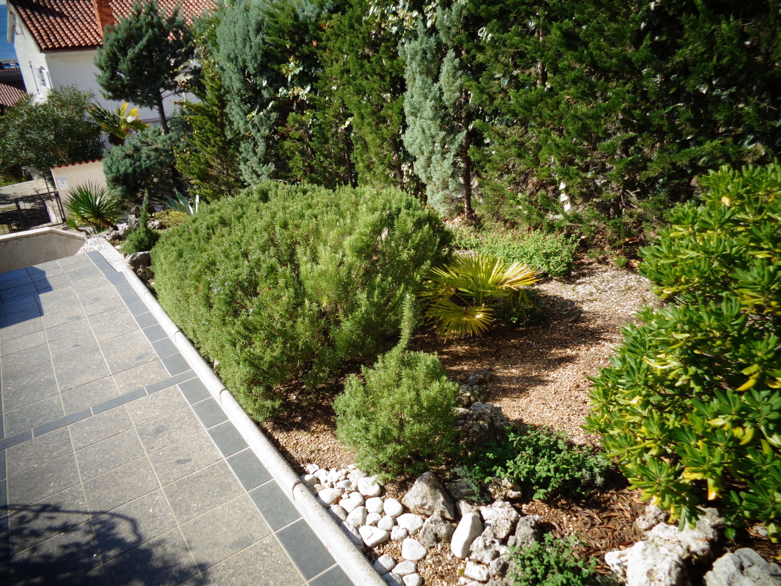 Nice Studio Apartments Eduard