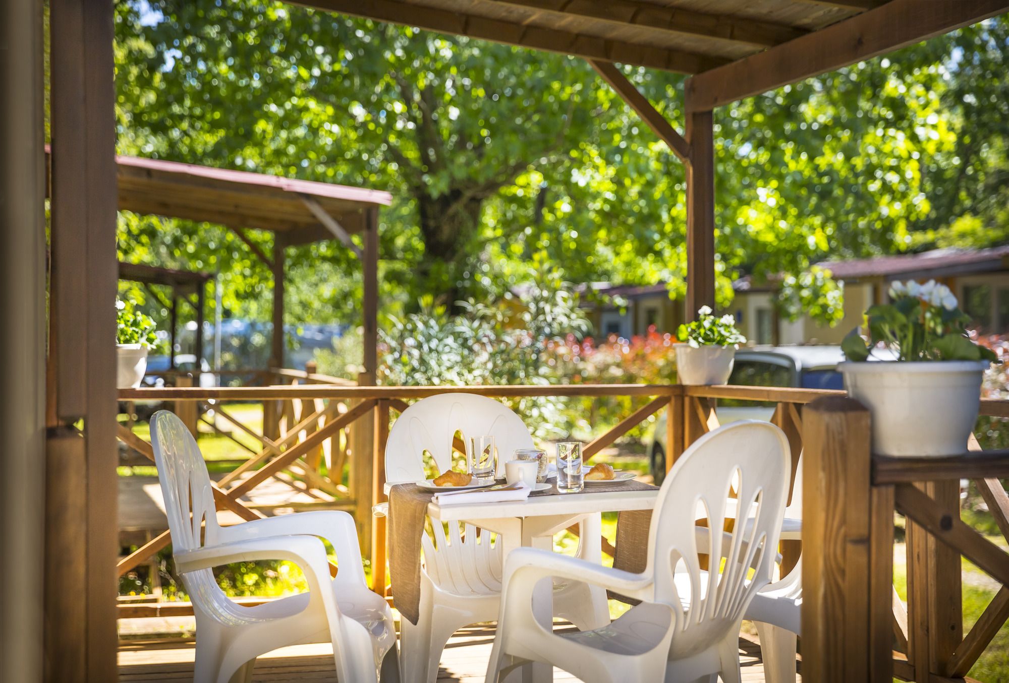 Campsite & Holiday Resort Medveja