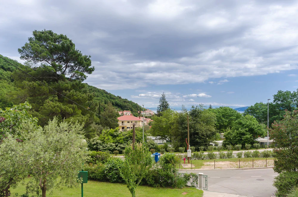 Apartments Branka