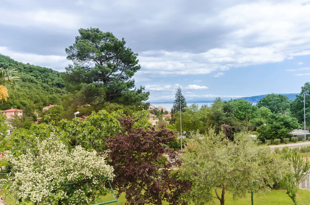 Apartments Branka