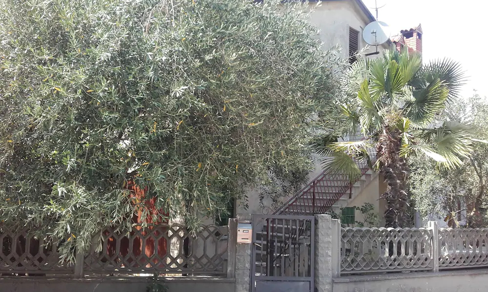 Apartments And Rooms Valter