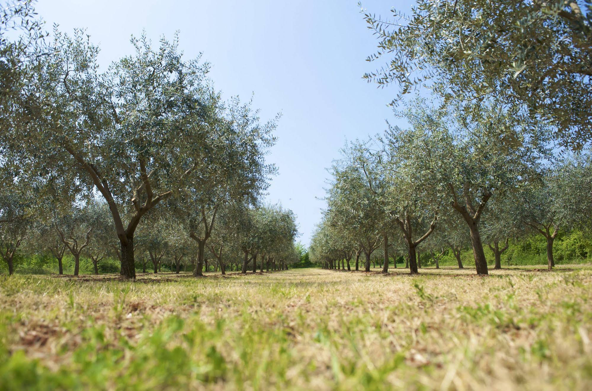 Rivalmare Boutique Hotel