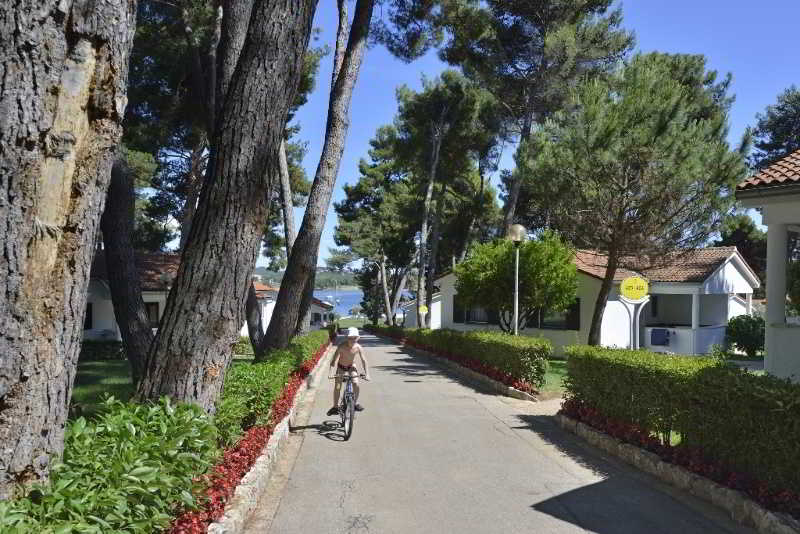 Apartments Galijot Plava Laguna