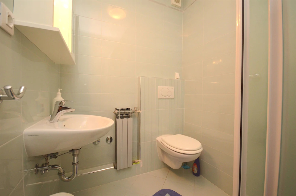Apartments and Room Mirjana