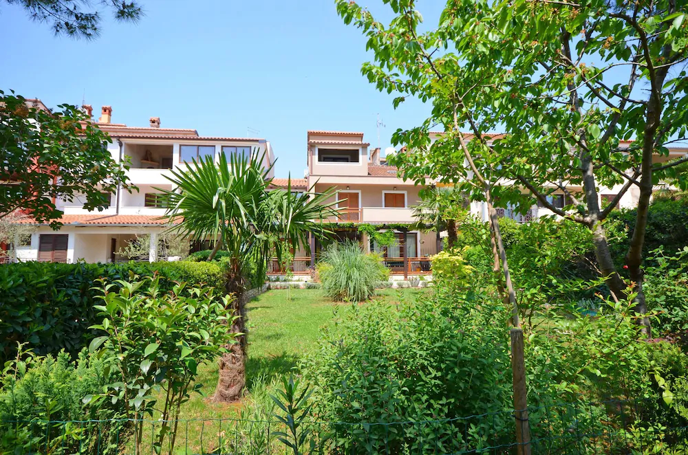 Apartments Branko