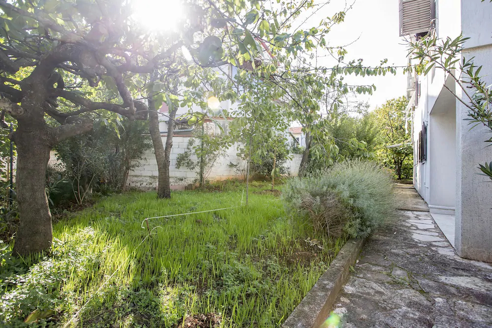 Apartments Crevatin 10