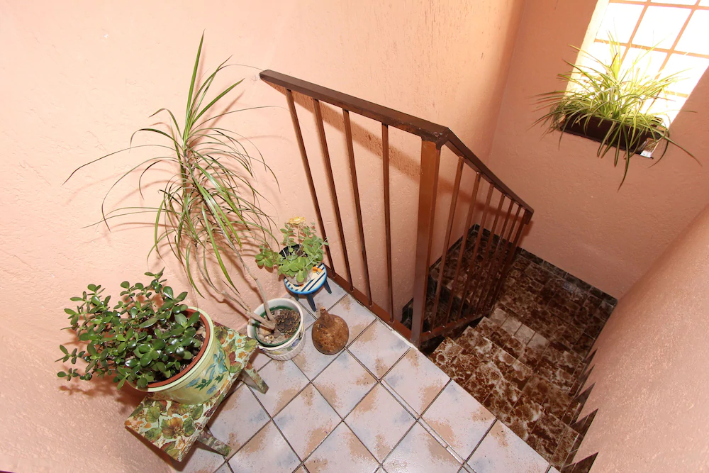 Apartments Giorgia
