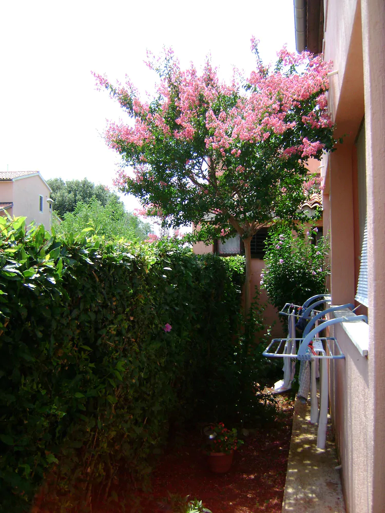 Apartments Romano