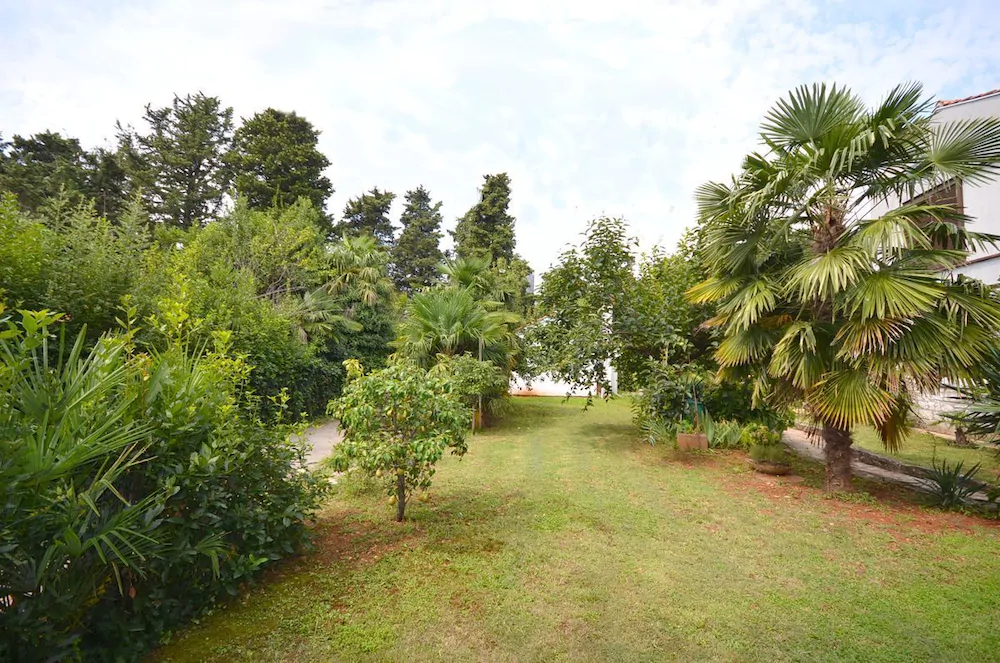 Apartments Dasen