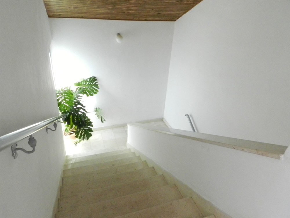 Apartments Nella