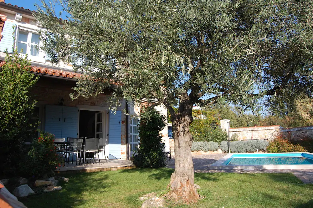 Villa Maslinova Grana